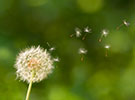 Our new website has been launched!
